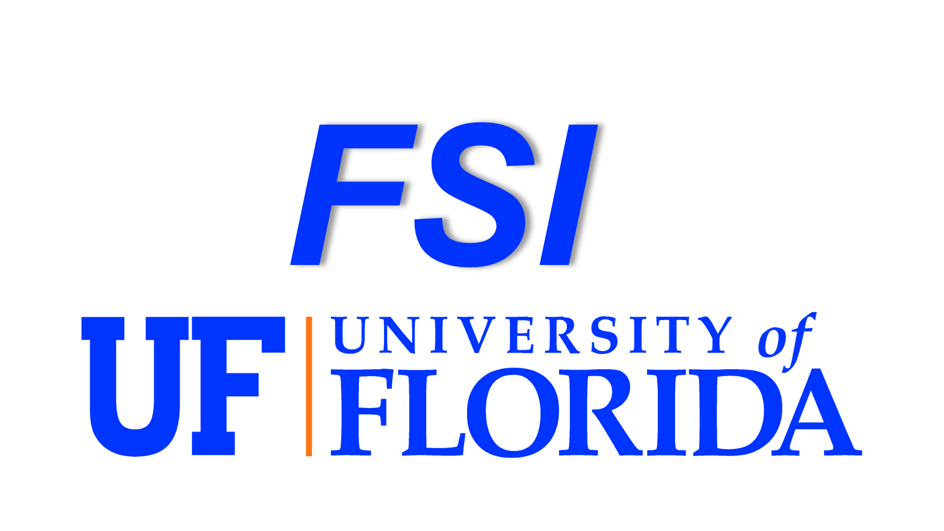 Florida Semiconductor Institute